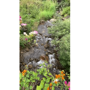 山水43