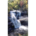 山水46