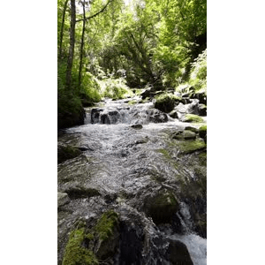 山水48