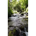 山水48