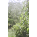 下雨5
