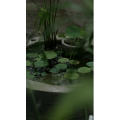 下雨7