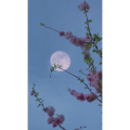 花42