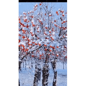 高清风景6