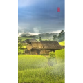 高清风景9