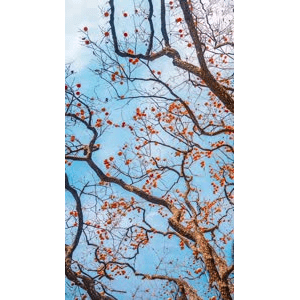 高清风景11