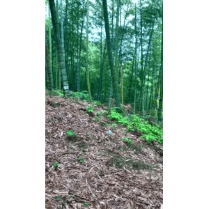 高清风景14
