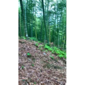 高清风景14