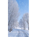高清风景18