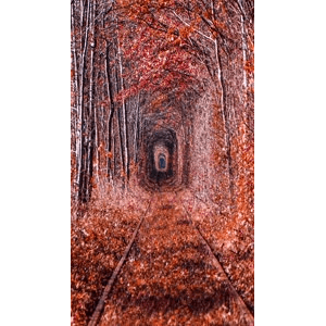 高清风景22