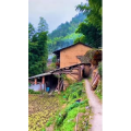 高清风景24