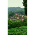 高清风景25
