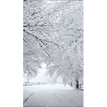 高清风景26
