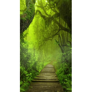高清风景27