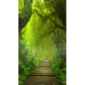 高清风景27