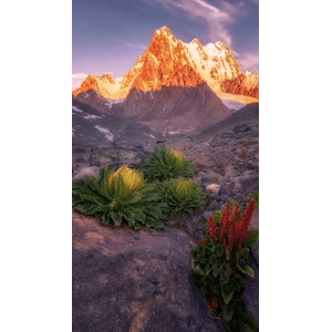 高清风景30