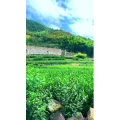 高清风景45