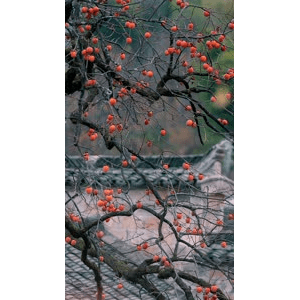 高清风景49