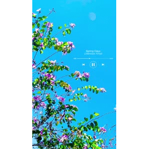 高清风景50