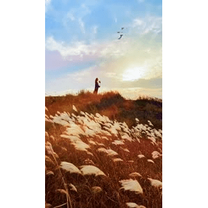 高清风景52