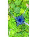 高清风景53