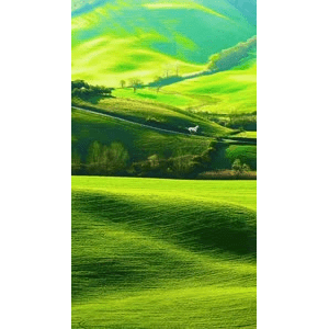 高清风景63