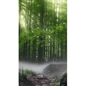 高清风景68