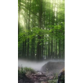 高清风景68