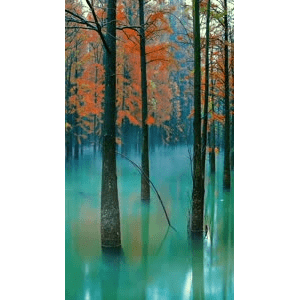 高清风景69
