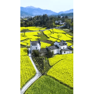 高清风景77