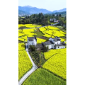 高清风景77