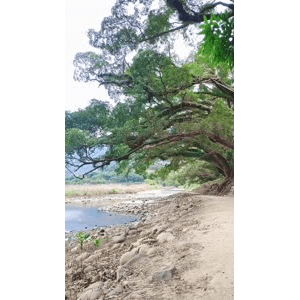 高清风景78