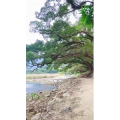 高清风景78