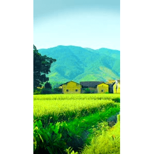 高清风景85