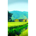高清风景85