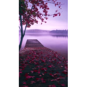 高清风景90