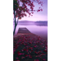 高清风景90