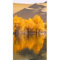 高清风景91