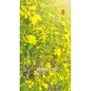 高清风景92