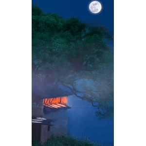 高清风景98