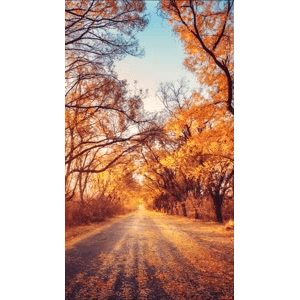高清风景105