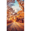 高清风景105