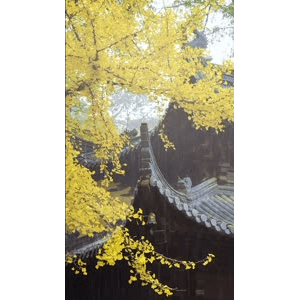 高清风景106