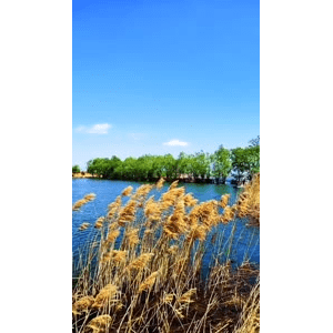 高清风景108