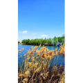 高清风景108