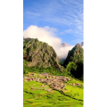 高清风景110