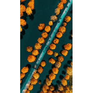 高清风景115