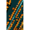 高清风景115