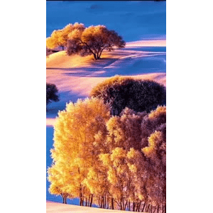 高清风景116