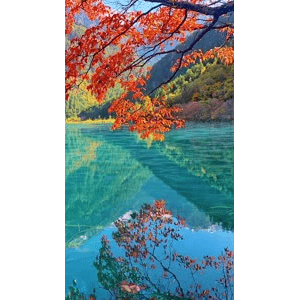 高清风景118